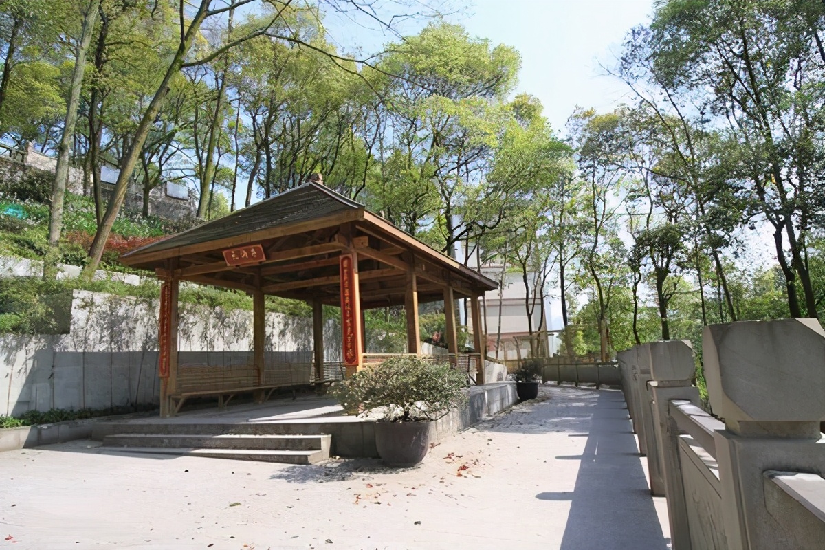 重庆哪所学校环境最好,重庆最美学校