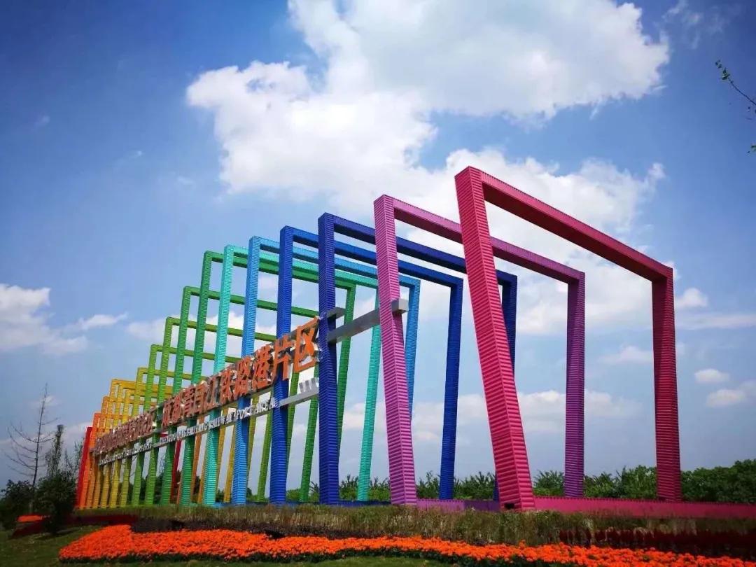 央视报道青白江,青白江央视新闻