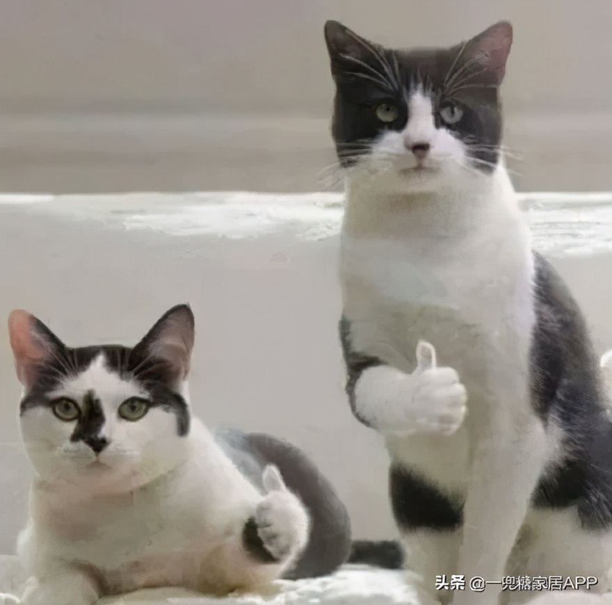 比拼多多还便宜的平台,比拼多多更实惠的平台是哪个