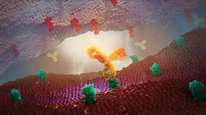 中国抗癌新药pd-1不限癌种,首款不限癌肿明星药