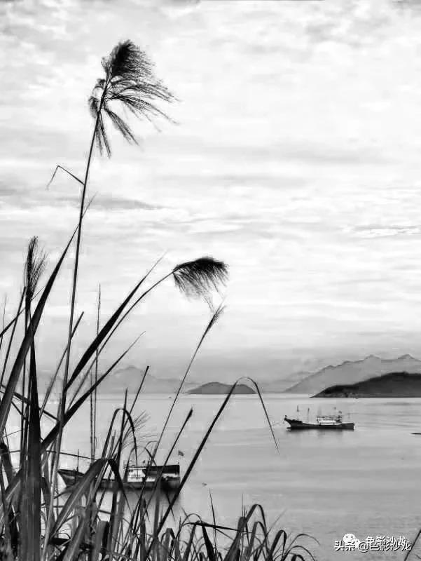 「任福斌」水墨意境的霞浦