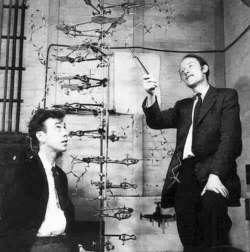 逆袭神药,被忽略的国产神药