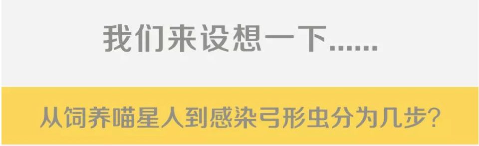 人宠共患病,弓形虫病是人畜共患病吗