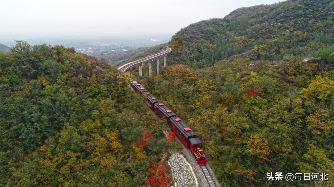 黄金寨免费景点大全,黄金寨一元门票能玩什么