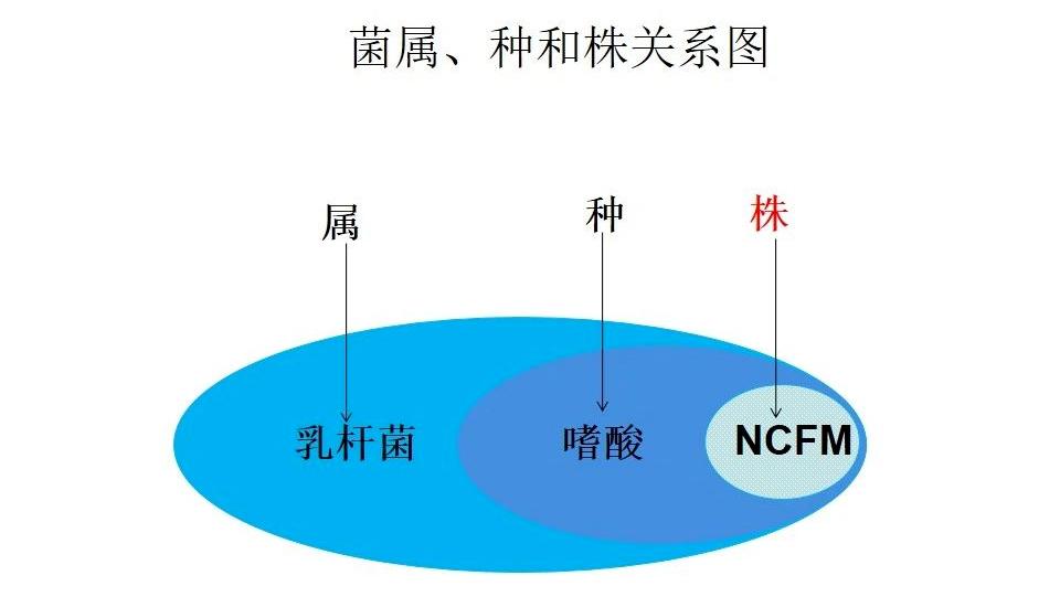 宝宝脾胃不好积食怎么办,宝宝脾胃不好积食怎么调理