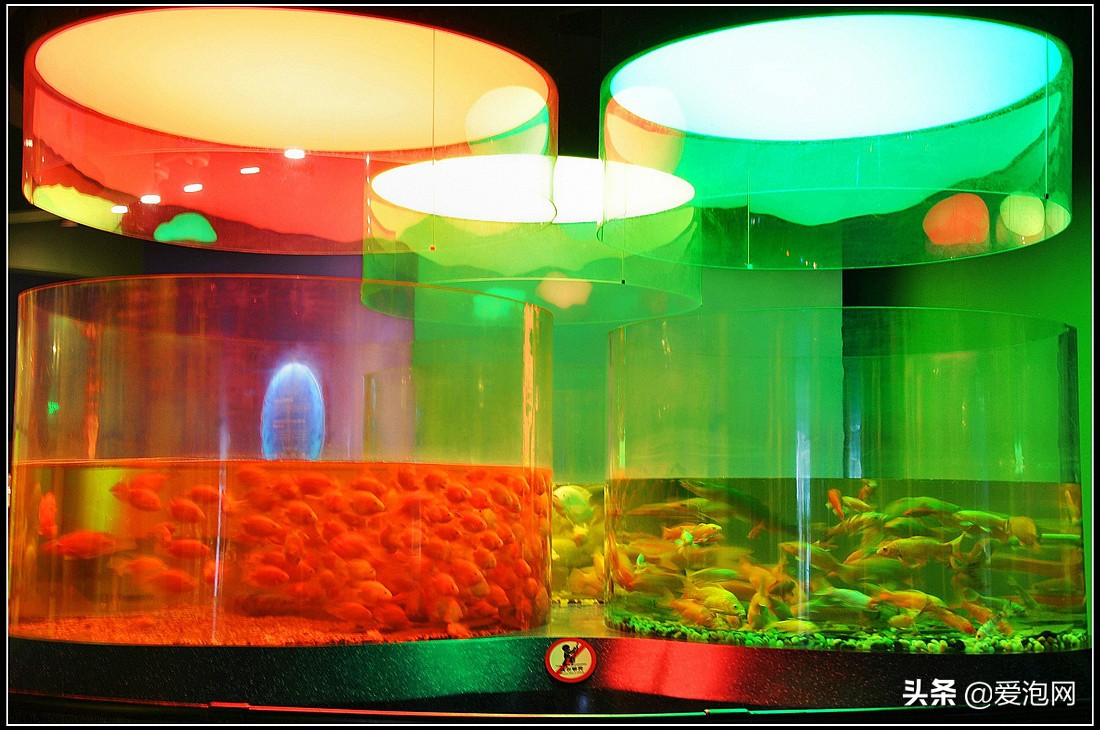 上海科技馆游玩攻略,上海科技馆亲子游玩攻略