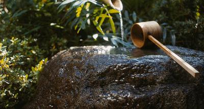 中水毒是什么原因引起的,中水毒了怎么办