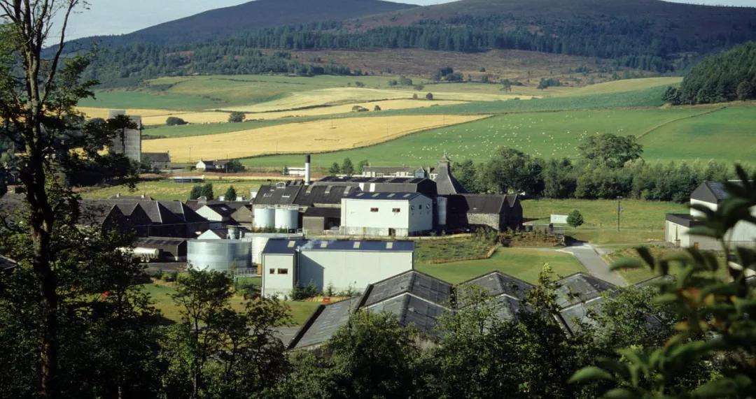 麦卡伦为什么升值,麦卡伦30年涨了多少