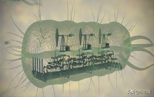 喝茶能控制血糖吗,喝茶可以控制血糖吗