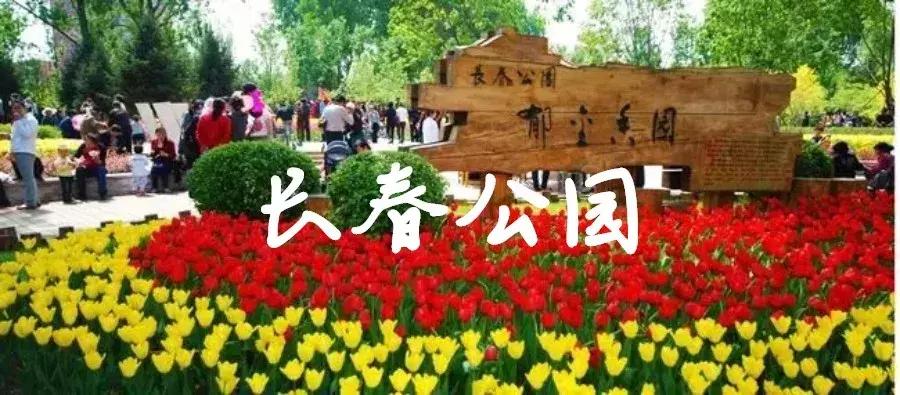 今天,世界各地的人将纷纷涌入长春!只为这个...