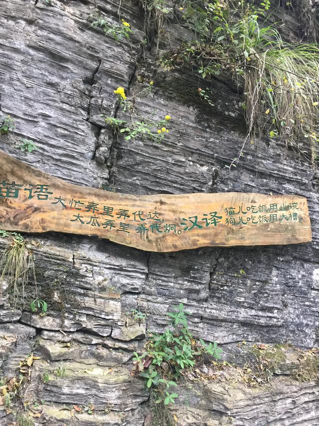 早岗古苗寨,早岗苗寨2008年照片