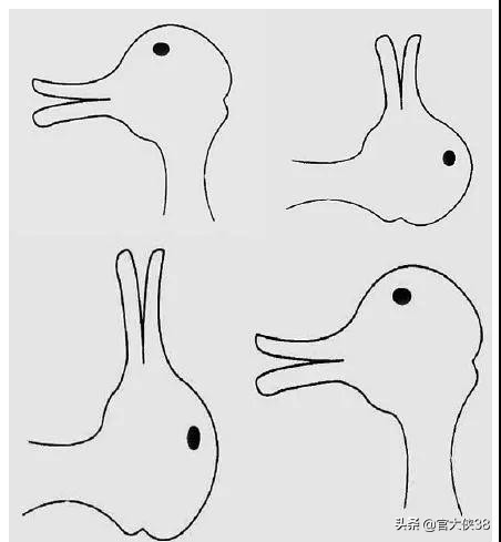 医学入门常识有哪些,医学上的坑怎样避开