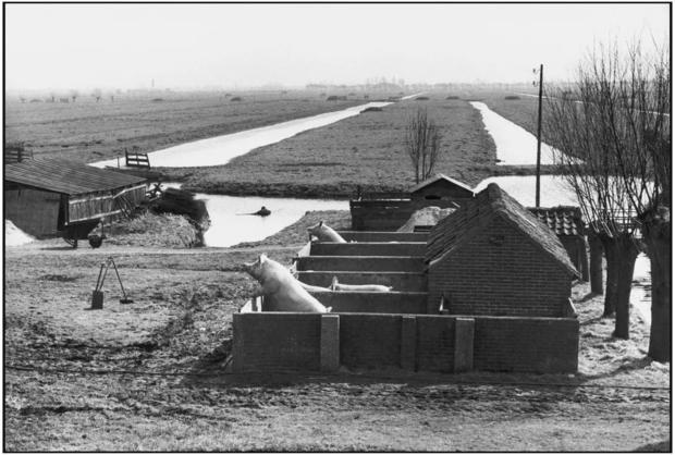 布列松摄影艺术书,布列松经典摄影作品解读