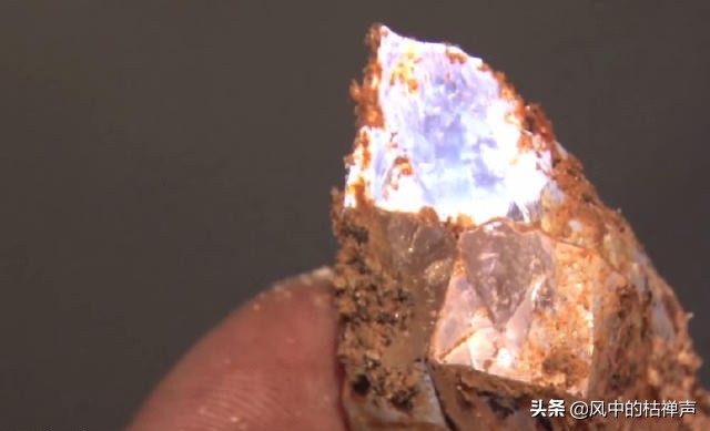 女子爬山时捡回一块石头，随后把这座山买了下来，让人十分不解