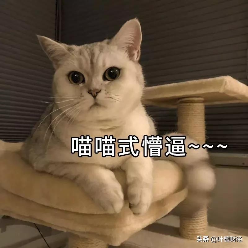 叶檀富豪榜,叶檀财经故事