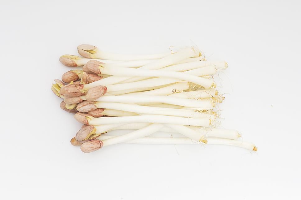 一幼儿园被曝果蔬变质,幼儿园食堂禁止食用的蔬菜