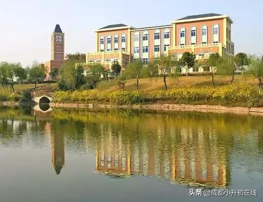 成都天府新区私立小学校一览表,2022成都私立小学招生数量