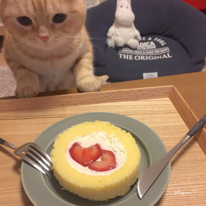 昌山留日说（57）中专毕业生缘何能考上日本最好的公立大学