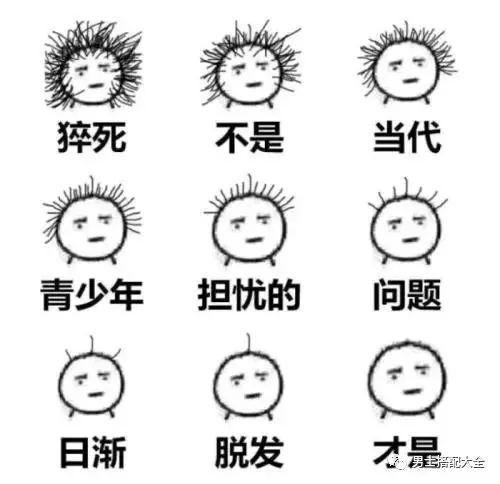 小贝上央视新闻,小贝秃头照