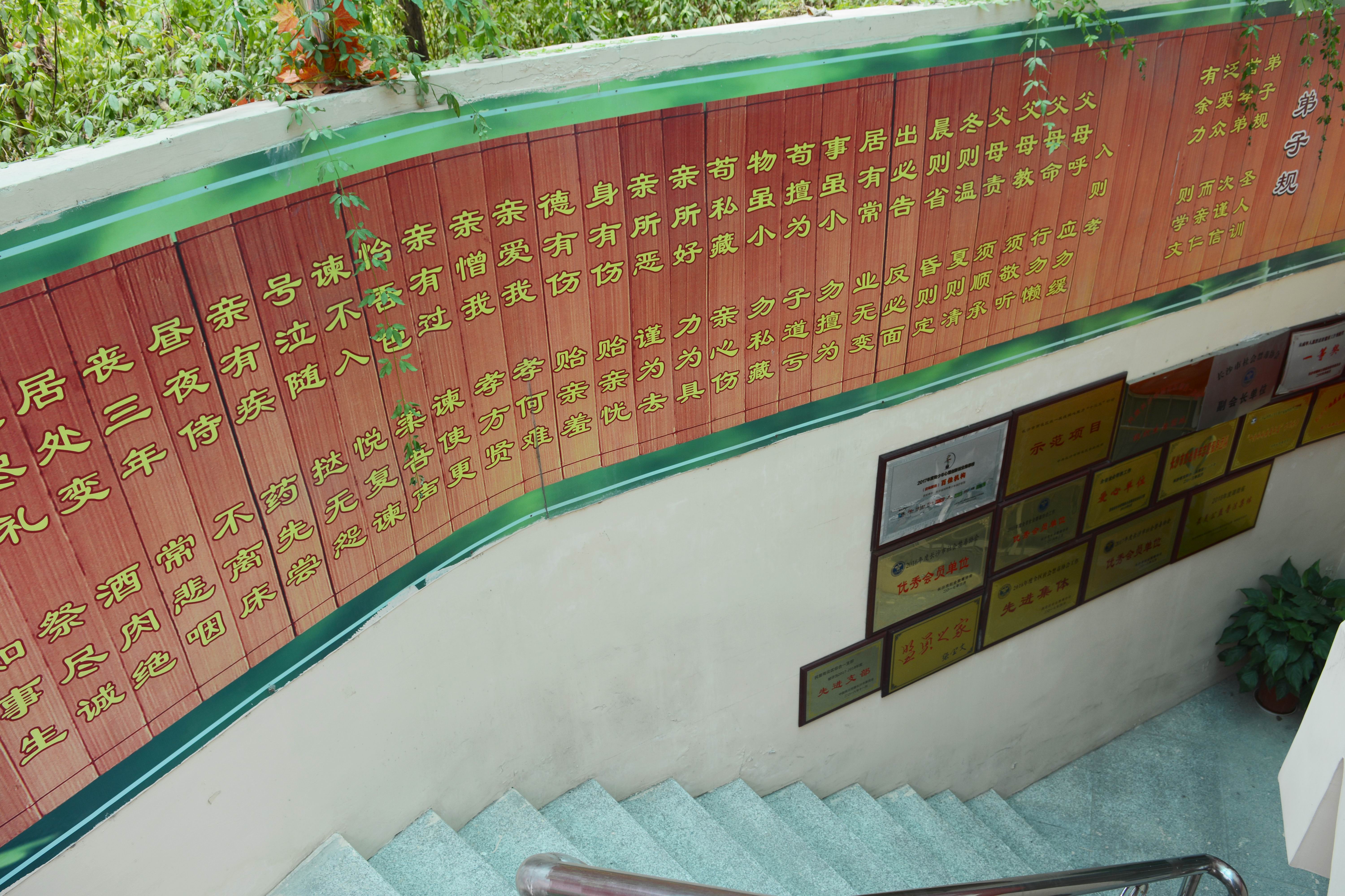 “孟妈妈青护园”志愿者向劳动者送凉爽