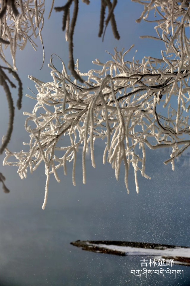 吉林从沿海城市变成内陆城市,吉林市怎么变成几线城市