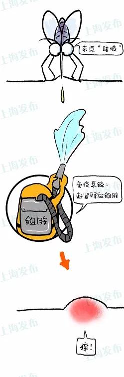 蚊子咬了之后科普,医生蚊子咬后怎么止痒最快最有效
