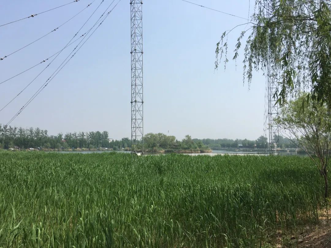 走进北京蟹岛垂钓园,北京蟹岛垂钓园介绍