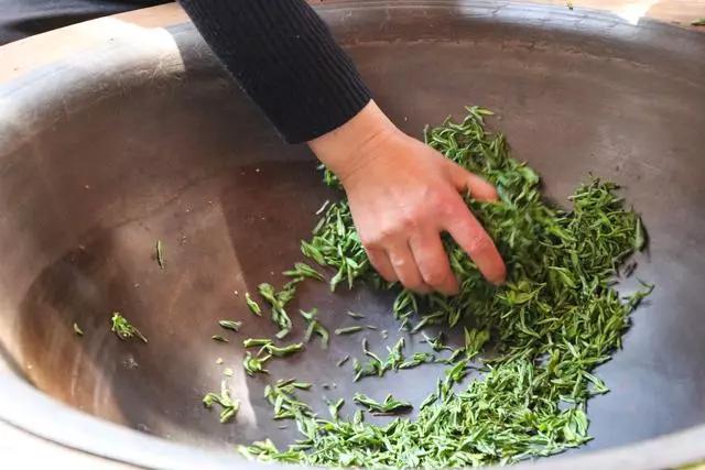 疫情过后一起来踏青吧,疫情过后一起去山花浪漫处