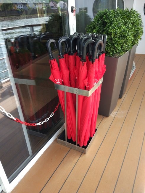 维京游轮莱茵河十一日游 (维京游轮旅游攻略)