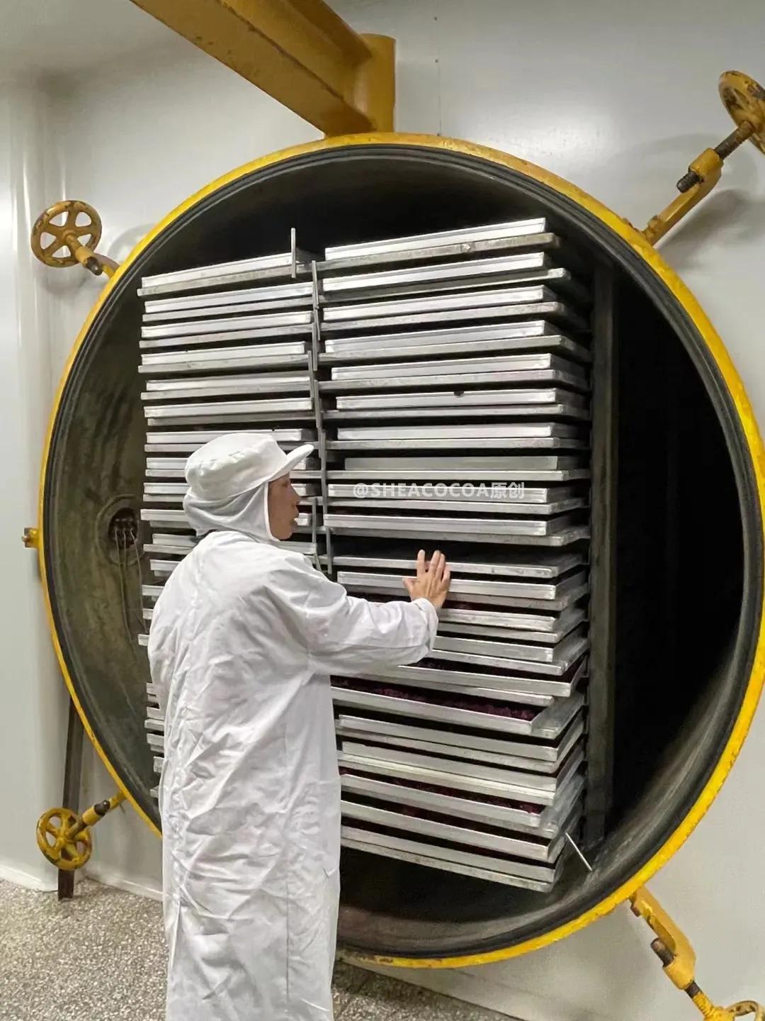 玫瑰细胞液保湿,纯天然玫瑰细胞液