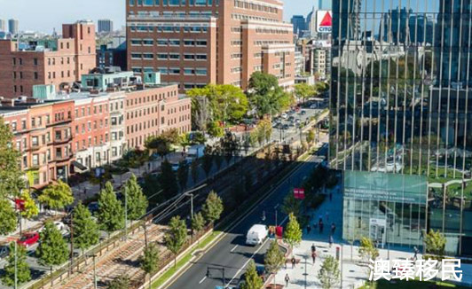 移民美国波士顿后悔？看看华人是如何适应当地生活的