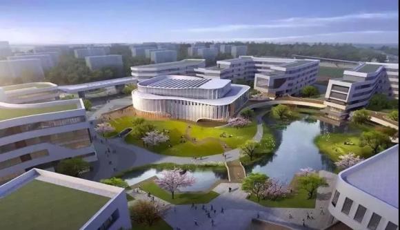 带你去杭州湾新区,带你走进宁波