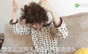 过年了，千万别逼你妈去烫头，哈哈哈哈哈哈哈哈哈哈！