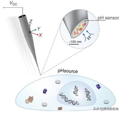 纳米探针治癌细胞,纳米生物传感器的应用