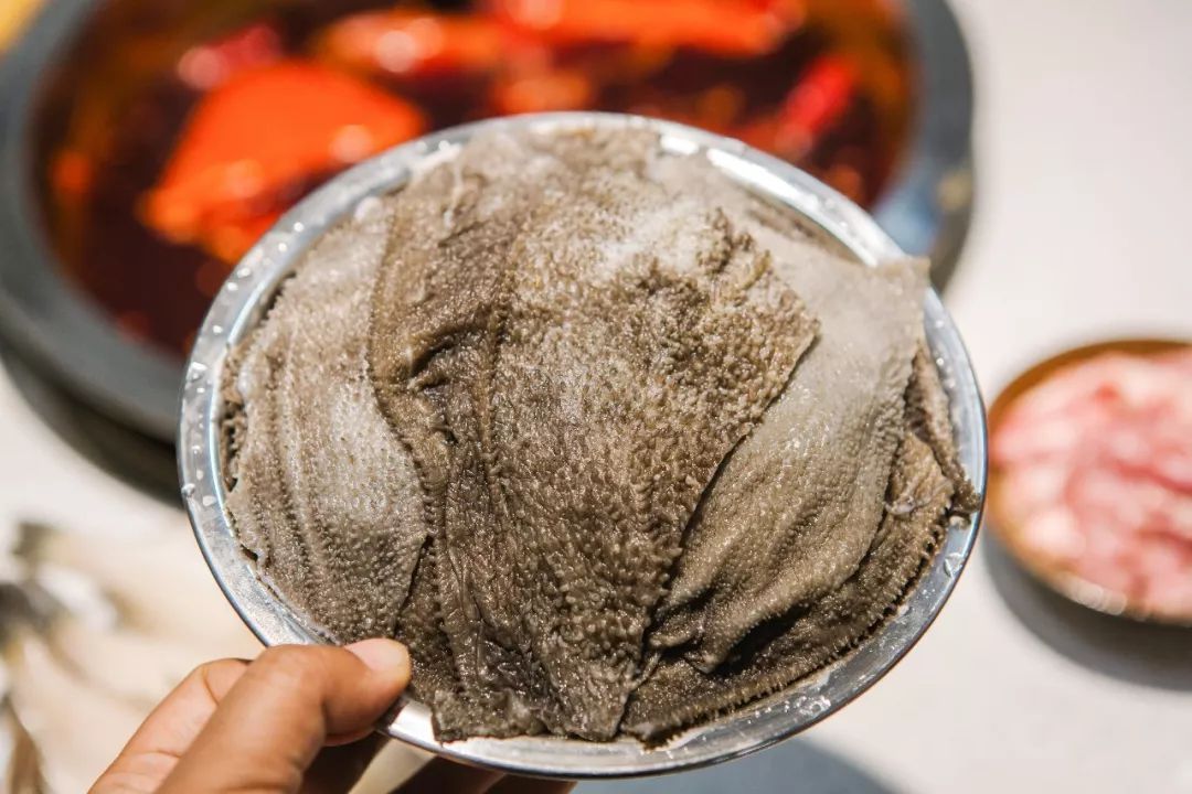 太原老字号火锅店,成都网红店排队4000多桌