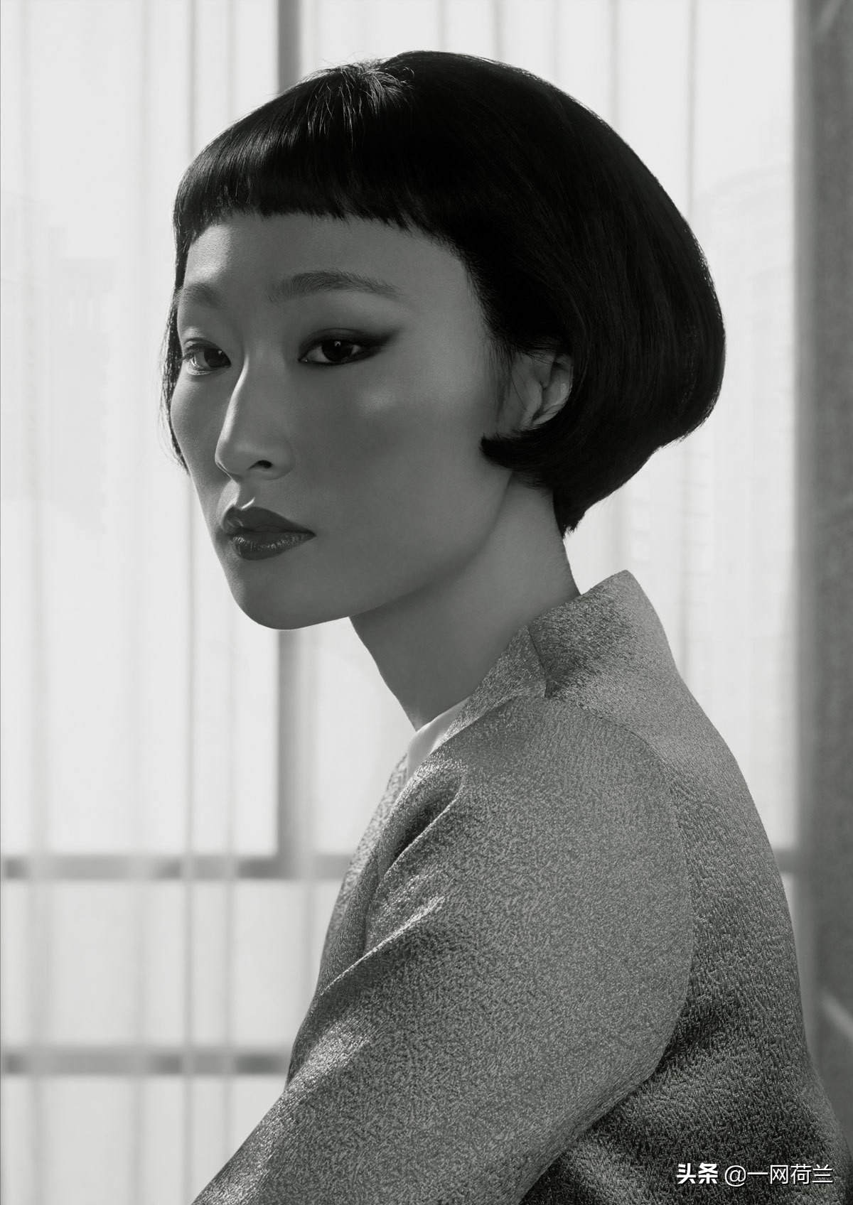 荷兰皇家御用摄影师,荷兰奥拉夫朱顶红