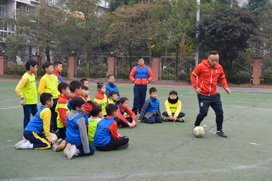 香江吐艳荆花瑞锦官情浓满园芳