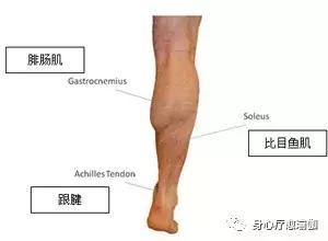 瑜伽半莲花盘坐方式,瑜伽莲花盘坐脚踝很疼