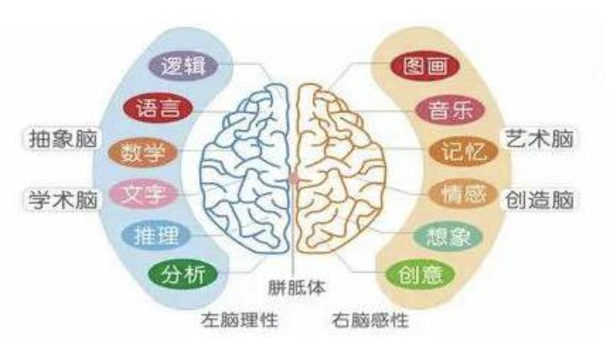 李玫瑾谈孩子哭闹怎么解决方法,孩子哭闹不去幼儿园怎么办李玫瑾