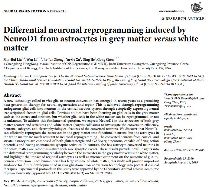陈功教授神经干细胞,陈功教授神经元再生获批了吗