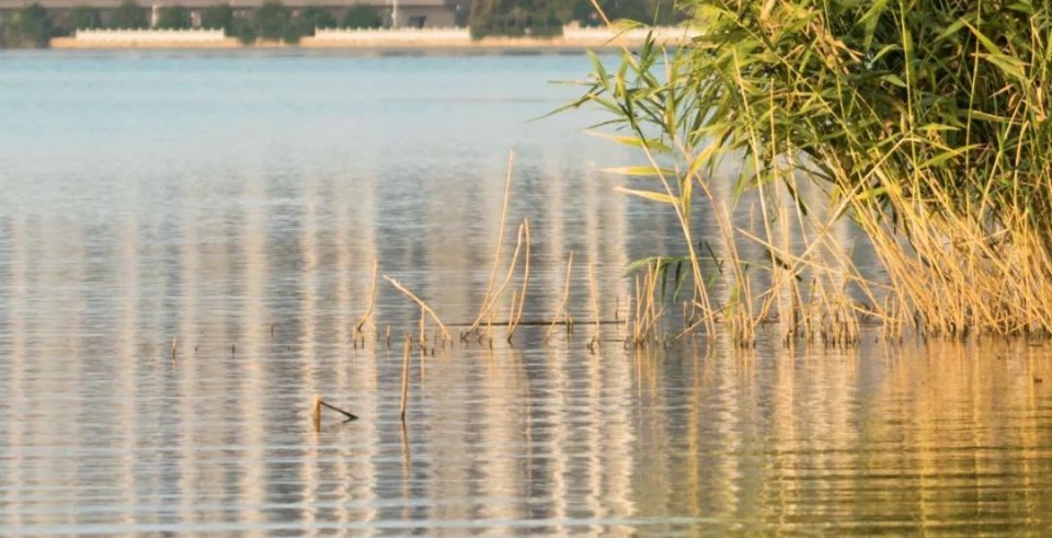 南昌12月必游景点大全,暑假南昌一日游必去的5个景点