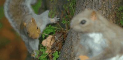 豆瓣9.8分悬疑大片,窥探电视剧豆瓣评分