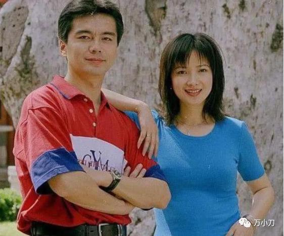 江南美人何晴的狗血情史,廖京生和许亚军合作的电视剧