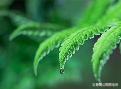 淘金币充值500元有用吗,淘金币高额兑换攻略