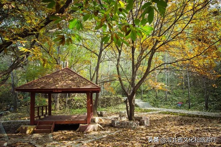 一鹿走来鹿泉,一路走来的最新视频