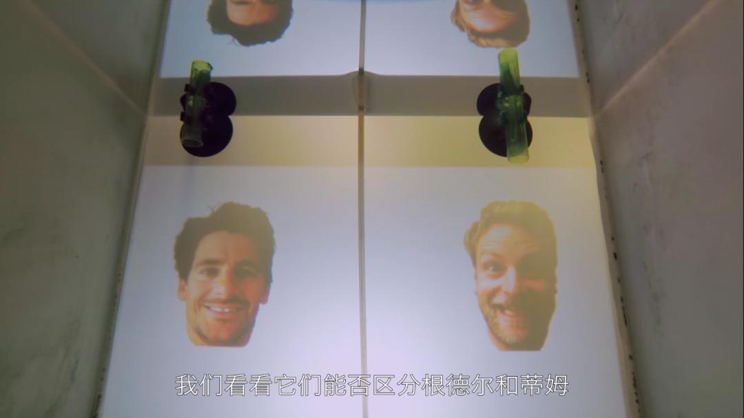 被“青春伤痛文学”冤枉了十几年，金鱼：我的记忆真的不止7秒