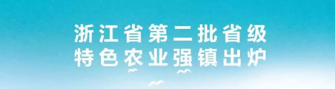 温州市平阳县水头镇特色产业,浙江省平阳县水头镇乡村振兴