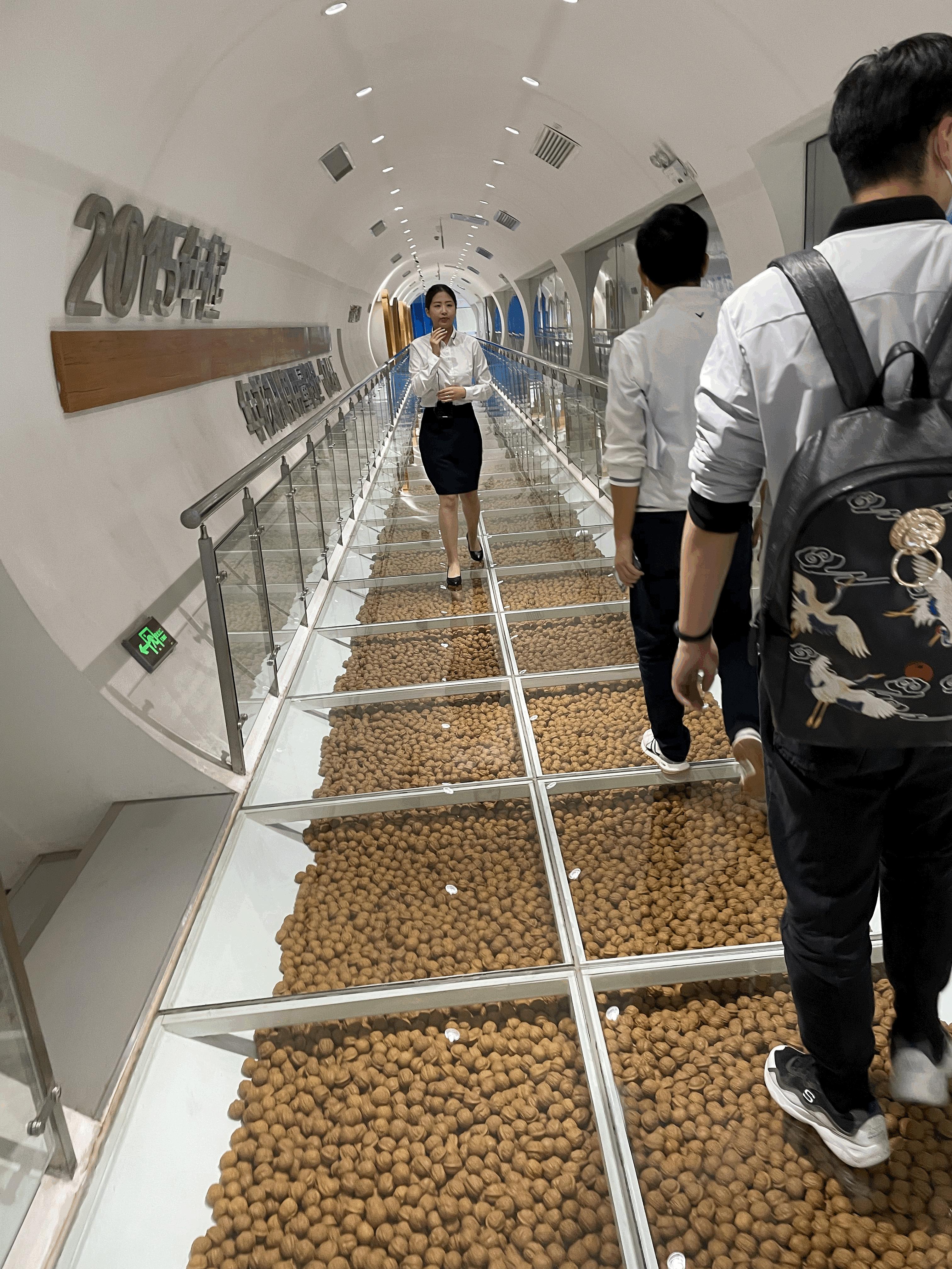 养元饮品股票业绩大全,养元饮品行情分析