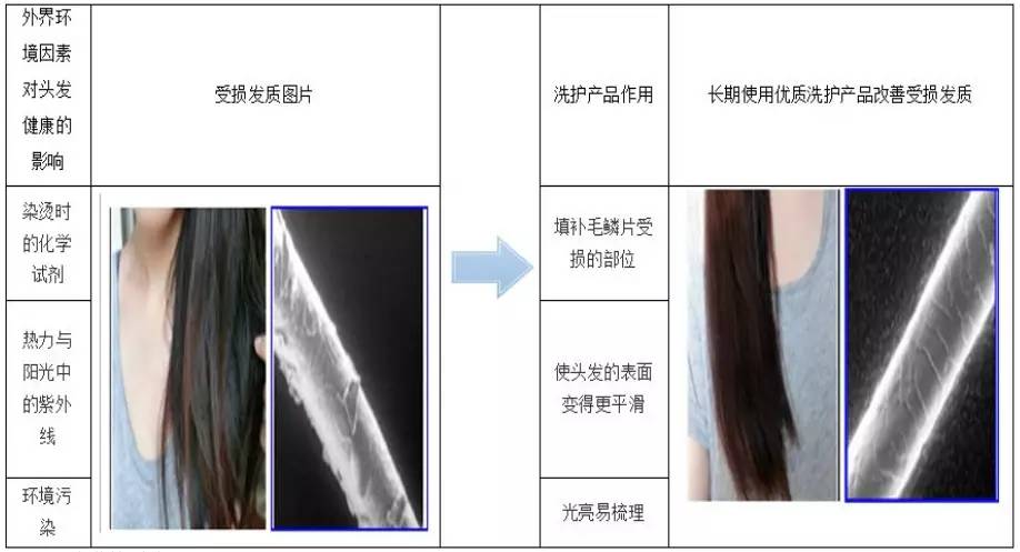 头皮护理护发素,无硅油不伤头皮的护发素有哪些