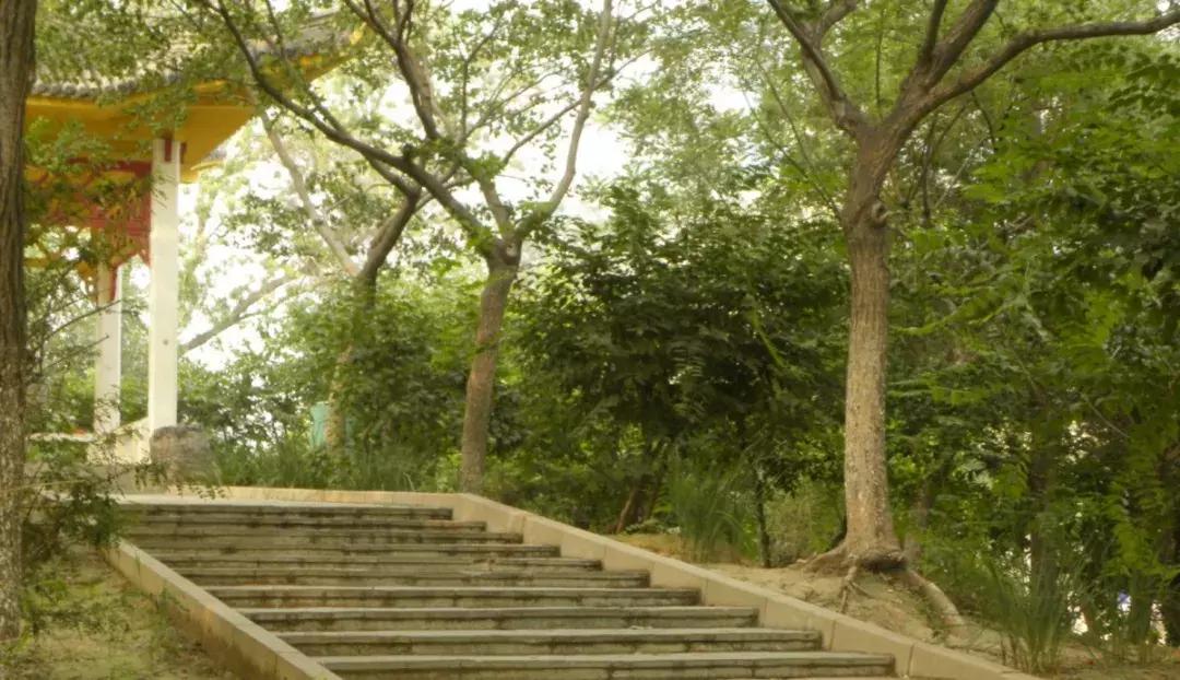 寸土寸金公园,天津值得一去的公园